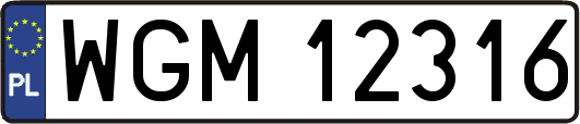 WGM12316