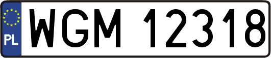 WGM12318