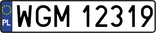 WGM12319