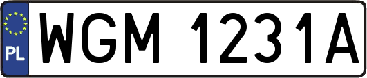 WGM1231A