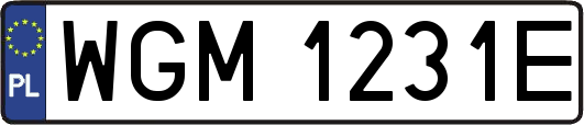 WGM1231E