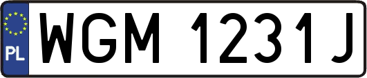 WGM1231J