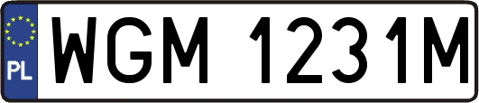 WGM1231M