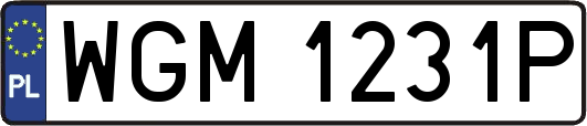 WGM1231P