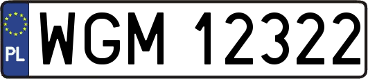 WGM12322