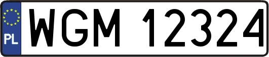 WGM12324