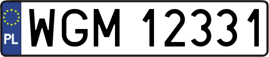 WGM12331