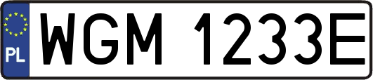 WGM1233E