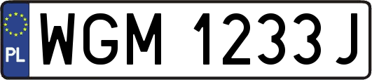 WGM1233J
