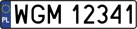 WGM12341