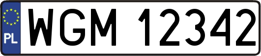 WGM12342