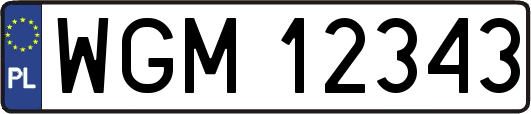 WGM12343