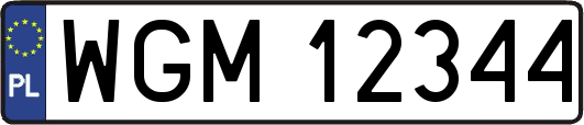 WGM12344