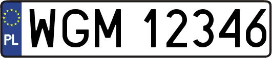 WGM12346