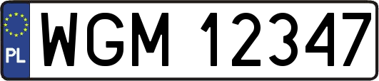 WGM12347