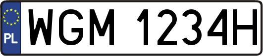 WGM1234H