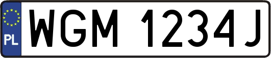 WGM1234J