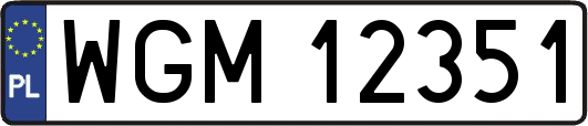 WGM12351
