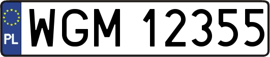 WGM12355