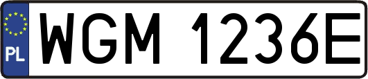 WGM1236E