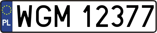 WGM12377