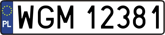 WGM12381