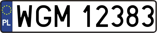WGM12383