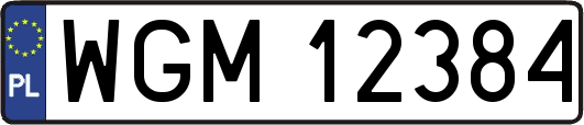 WGM12384