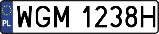 WGM1238H
