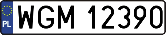 WGM12390