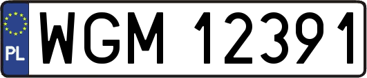 WGM12391