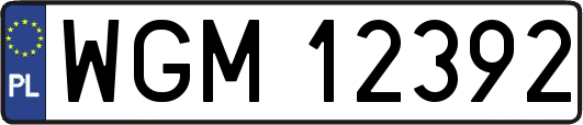 WGM12392