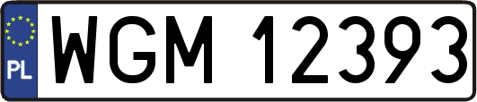 WGM12393