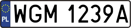 WGM1239A