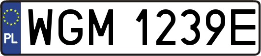 WGM1239E