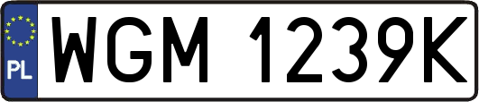 WGM1239K
