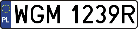 WGM1239R