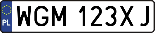 WGM123XJ