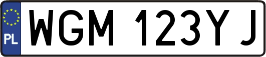 WGM123YJ