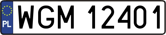 WGM12401