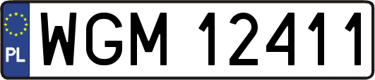 WGM12411