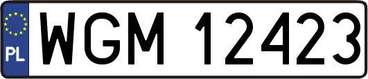 WGM12423