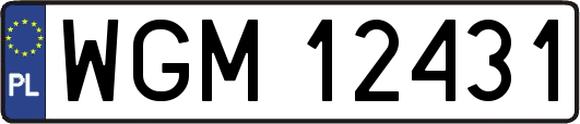 WGM12431