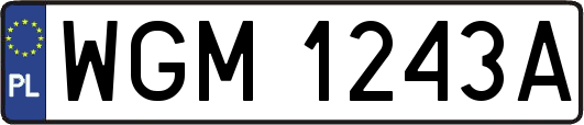 WGM1243A
