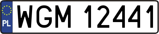 WGM12441