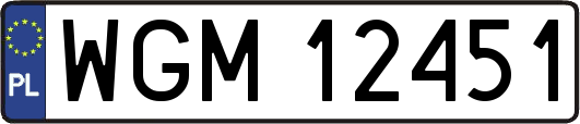 WGM12451