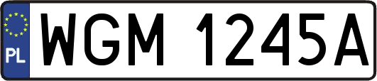 WGM1245A