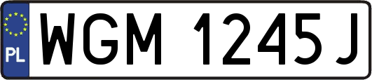WGM1245J