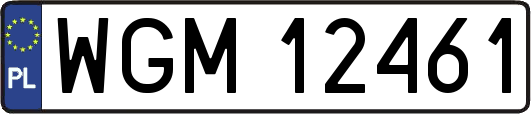 WGM12461