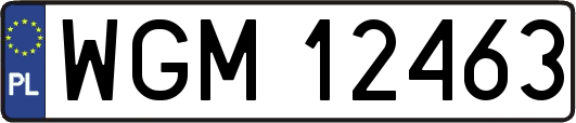 WGM12463